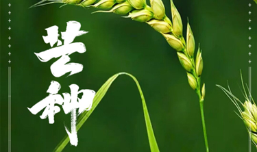 南宫NG28相信品牌的力量网址(中国游)官网